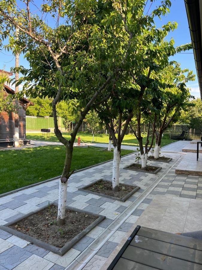 Camere De Inchiriat Cris&Dia Eforie Sud  Exterior foto